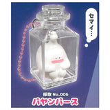 Shinryakushippai Dokonandesu Bottled keychain Part.2 [2.Payampasu]