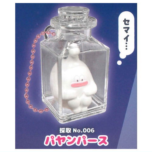 Shinryakushippai Dokonandesu Bottled keychain Part.2 [2.Payampasu]