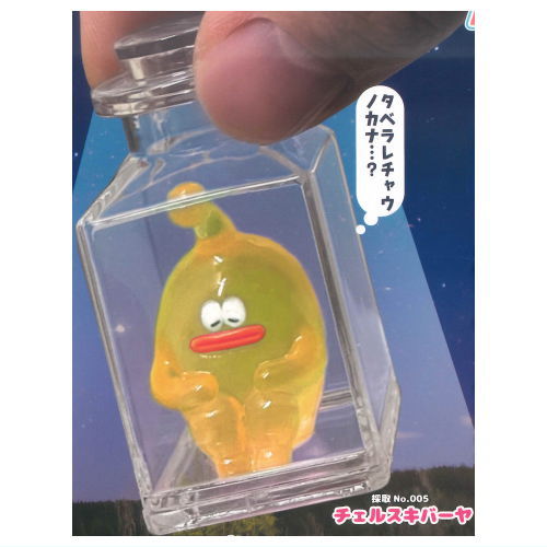Shinryakushippai Dokonandesu Bottled keychain Part.2 [4.Cherskibaya]
