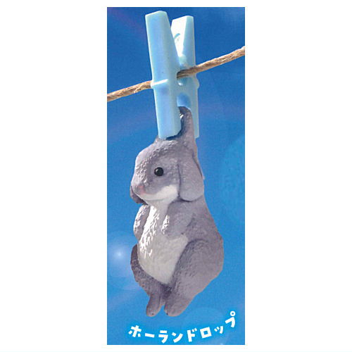 Sentakubiyori Part.3 [4.Holland Lop]