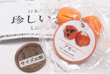 Rare Fruit Miniature Collection [1.Blighia sapida]