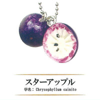 Rare Fruit Miniature Collection [2.Chrysophyllum cainito]