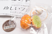 Rare Fruit Miniature Collection [4.Cucumis metulifer]