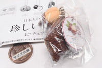 Rare Fruit Miniature Collection [5.Salacca zalacca]