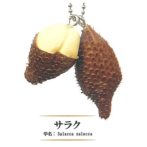 Rare Fruit Miniature Collection [5.Salacca zalacca]