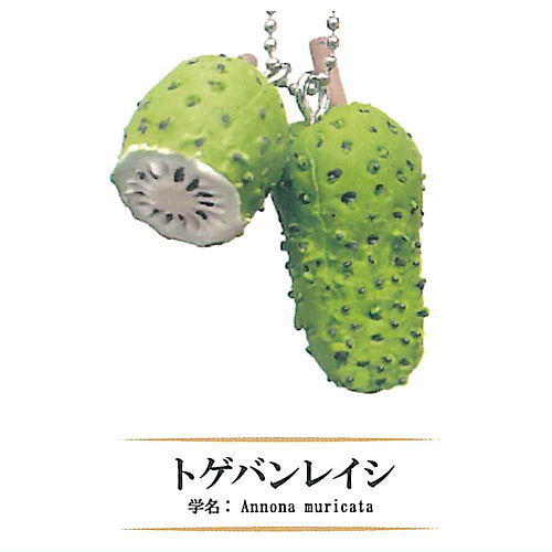 Rare Fruit Miniature Collection [6.Annona muricata]