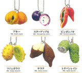 Rare Fruit Miniature Collection [All 6 type set(Full Complete)]