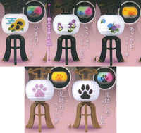 Omoidenohikaru bonchochin mascot [All 5 type set(Full Complete)]