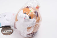 Manmaru Pukkuri Yoyo Wan [6.Kitsune]
