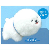 Tenohira size Bichon Frise plush toy [2.Nikoniko (Collar: Blue)]