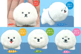 Tenohira size Bichon Frise plush toy [All 5 type set(Full Complete)]