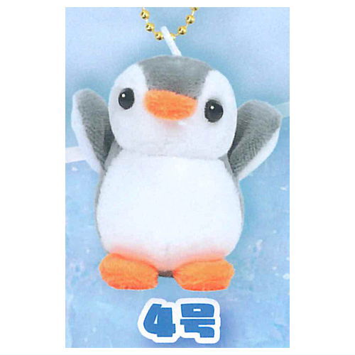 First Penguin [4.No. 4]