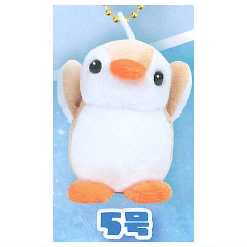 First Penguin [5.No. 5]