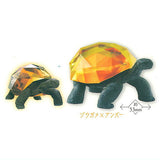 Animal Attraction Creature x Jewel Part.3 [4.Giant Tortoise x Amber]