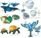 Animal Attraction Creature x Jewel Part.3 [All 5 type set(Full Complete)]