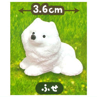 Samoyed to asobo! Figure with grass [1.Fuse]