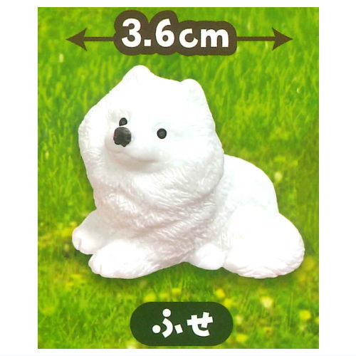 Samoyed to asobo! Figure with grass [1.Fuse]