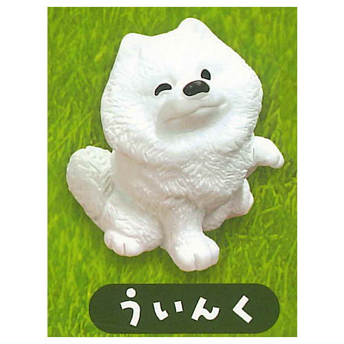 Samoyed to asobo! Figure with grass [4.Wink]