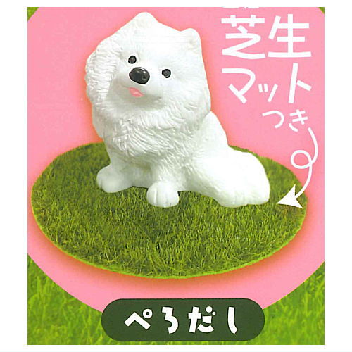 Samoyed to asobo! Figure with grass [5.Perodashi]