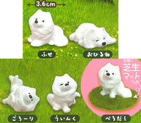Samoyed to asobo! Figure with grass [All 5 type set (Full Complete)]