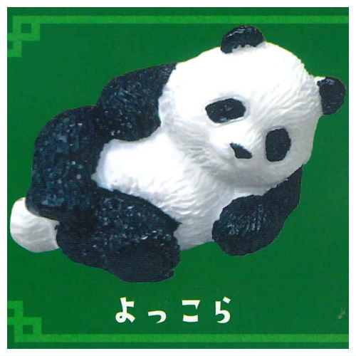 Shipposi Panda [1.Yokkora]