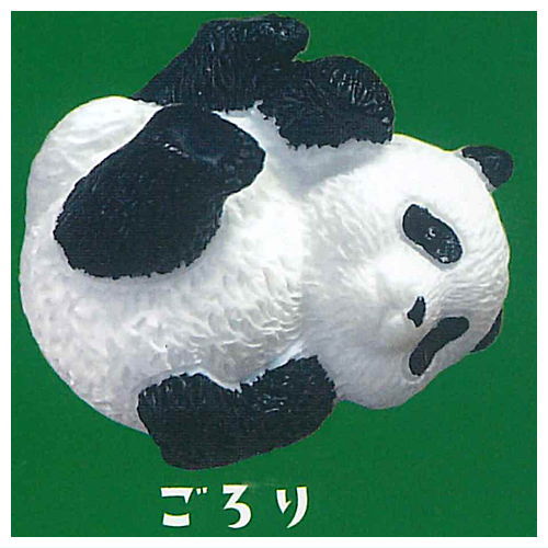 Shipposi Panda [2.Gorori]