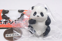 Shipposi Panda [3.What's up]