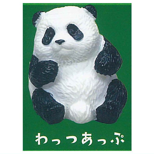 Shipposi Panda [3.What's up]