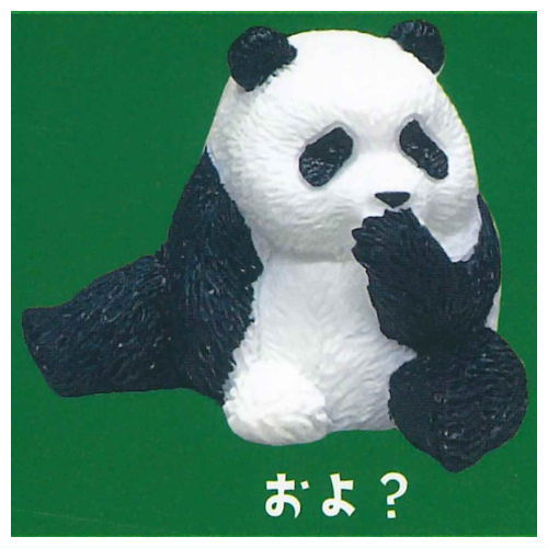 Shipposi Panda [4.Oyo?]