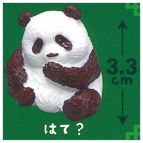 Shipposi Panda [5.Hate?]