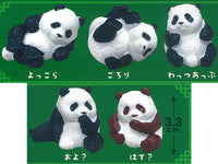 Shipposi Panda [All 5 type set (Full Complete)]
