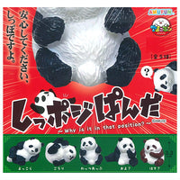 Shipposi Panda [All 5 type set (Full Complete)]
