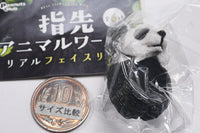 Fingertip Animal World Real Face Ring [2.Panda]