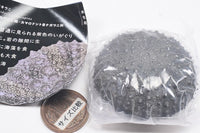 Nature Techni Colour MONO PLUS Sea Urchin Shell Magnet Collection [1.Heliocidaris crassispina]