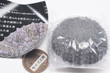 Nature Techni Colour MONO PLUS Sea Urchin Shell Magnet Collection [1.Heliocidaris crassispina]