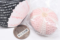 Nature Techni Colour MONO PLUS Sea Urchin Shell Magnet Collection [4.Echinometra mathaei]
