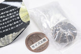 Nature Techni Colour MONO PLUS Sea Urchin Shell Magnet Collection [6.Hemicentrotus pulcherrimus & Heliocidaris crassispina(Small)]