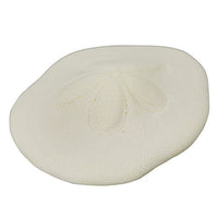 Nature Techni Colour MONO PLUS Sea Urchin Shell Magnet Collection [7.Clypeaster japonicus]