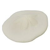 Nature Techni Colour MONO PLUS Sea Urchin Shell Magnet Collection [7.Clypeaster japonicus]