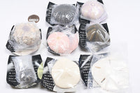 Nature Techni Colour MONO PLUS Sea Urchin Shell Magnet Collection [All 8 type set(Full Complete)]