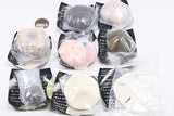 Nature Techni Colour MONO PLUS Sea Urchin Shell Magnet Collection [All 8 type set(Full Complete)]