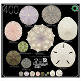 Nature Techni Colour MONO PLUS Sea Urchin Shell Magnet Collection [All 8 type set(Full Complete)]