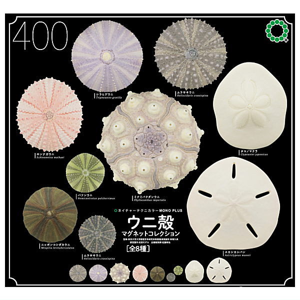 Nature Techni Colour MONO PLUS Sea Urchin Shell Magnet Collection [All 8 type set(Full Complete)]
