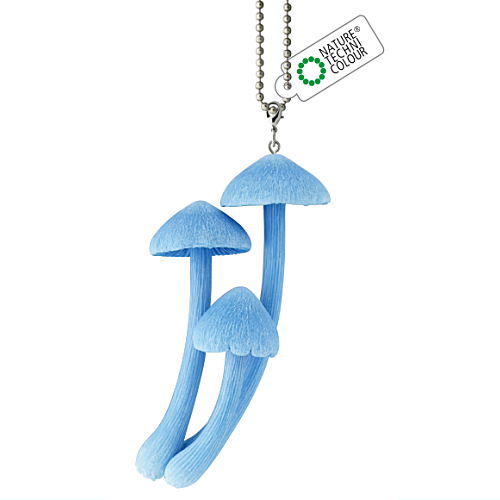 Nature Techni colour MONO PLUS Mushroom soft mascot [2.Sorairotake]