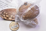 Nature Techni colour MONO PLUS Mushroom soft mascot [8.Shiitake]
