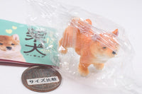 Mattari Shiba Inu Figure [1.Orikou ni matsu Shiba]
