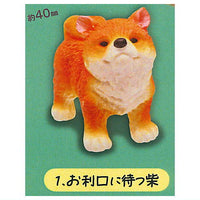 Mattari Shiba Inu Figure [1.Orikou ni matsu Shiba]