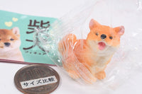 Mattari Shiba Inu Figure [3.Osanpokibou no Shiba]