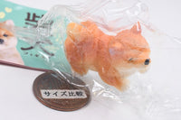Mattari Shiba Inu Figure [4.Fuse o suru Shiba]