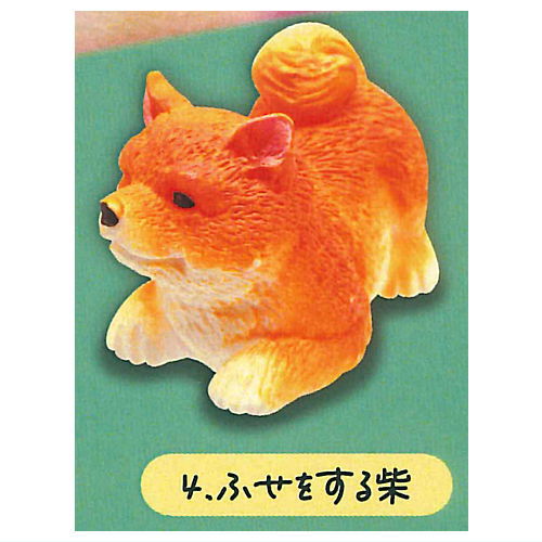Mattari Shiba Inu Figure [4.Fuse o suru Shiba]